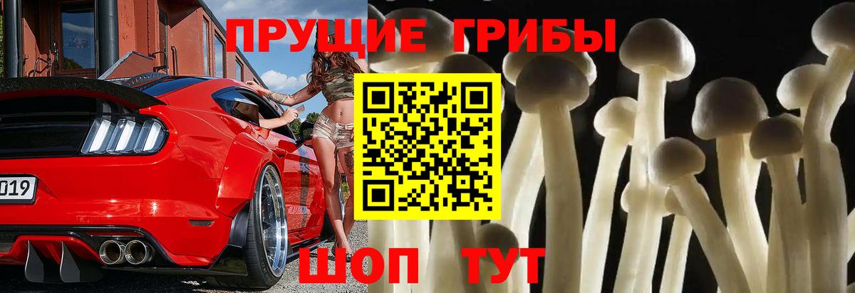 Псилоцибиновые грибы MAGIC MUSHROOMS Шатура